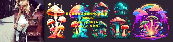 круглые Абаза
