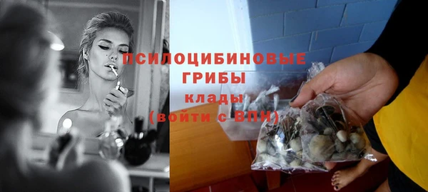 круглые Абаза