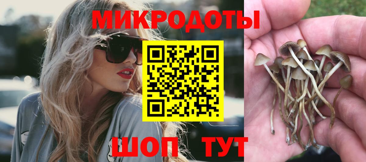 Галлюциногенные грибы Magic Shrooms  Псилоцибиновые грибы Psilocybine cubensis  Кудымкар  цена   Вход с VPN 